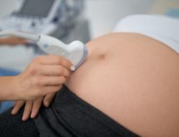 Early pregnancy scan and management